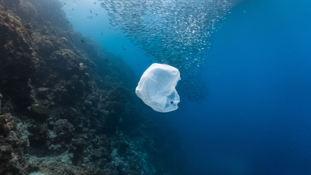Ocean with Floating Plastic Bag