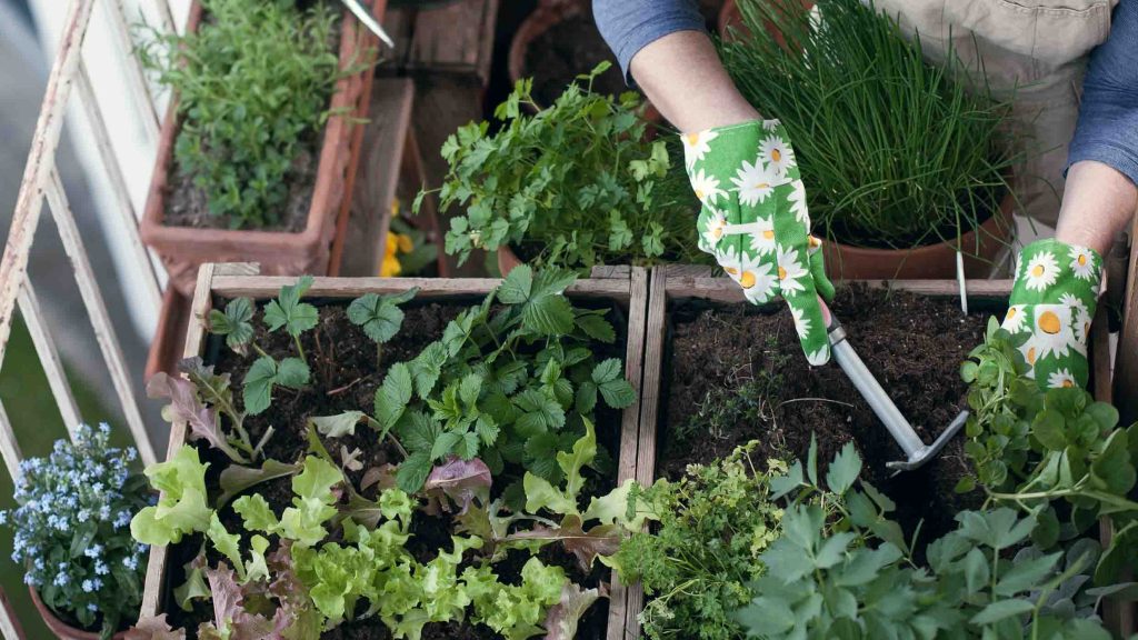 Person gardening on balcony