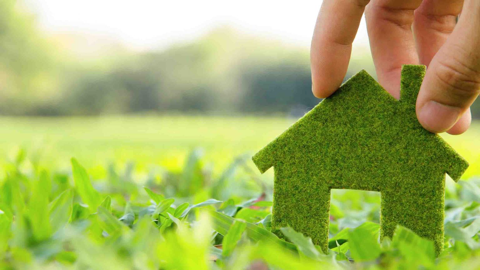 Green Home