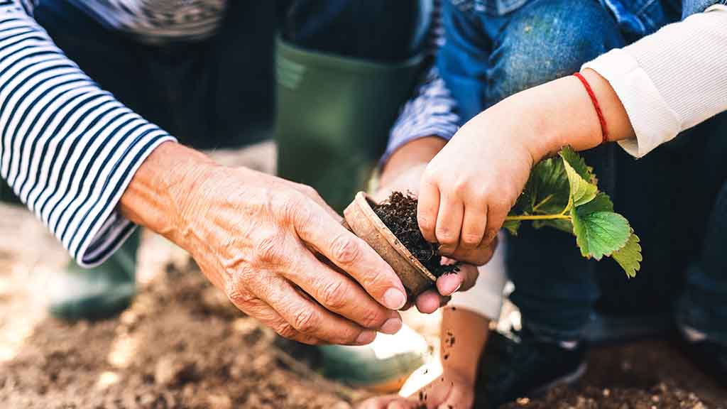 off-grid living. Person with child, planting vegetables.
