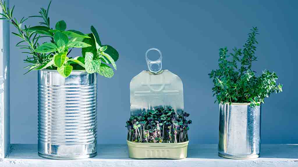 Repurposed packing used to grow herbs