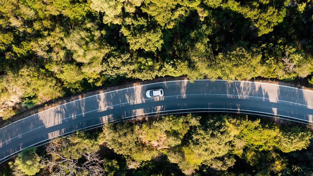 road from above forest